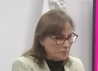 Presidenta Sheinbaum visitará Veracruz mañana en aniversario de la defensa del puerto, confirma Rocío Nahle.