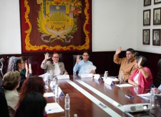 #Xalapa: En 100 días, el IMMX robustece en territorio acciones con perspectiva de género