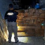 FGR asegura 190 tablones de Cedro en Ixcatepec, Veracruz