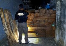 FGR asegura 190 tablones de Cedro en Ixcatepec, Veracruz