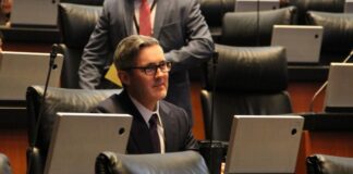 Señalamientos del senador José Ramón Gómez Leal estigmatizan a la prensa: Artículo 19