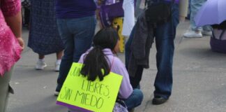 Buscan crear registro de agresores sexuales de niñez. Dependería de sentencias firmes.