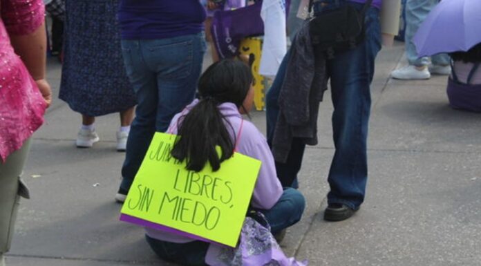 Buscan crear registro de agresores sexuales de niñez. Dependería de sentencias firmes.