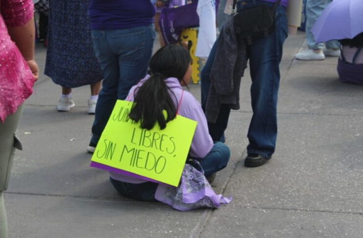 Buscan crear registro de agresores sexuales de niñez. Dependería de sentencias firmes.