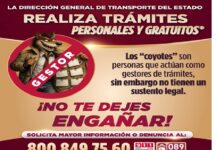 #Veracruz: Licencias sin intermediarios: SSP llama a proteger tu trámite y tu dinero