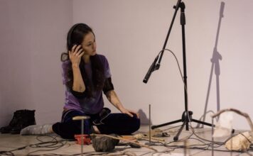 Lucía Hinojosa Gaxiola presenta Ruido de Vadie en el Museo Carrillo Gil .