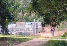 Ejecutan al dirigente sindical de la CTM Luis Gallardo #Veracruz