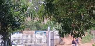 Ejecutan al dirigente sindical de la CTM Luis Gallardo #Veracruz