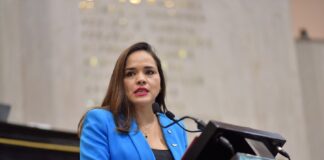 Ampliar atribuciones de la PMA, propone diputada.