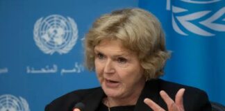 Defensores en riesgo: activistas «continúan enfrentando desafíos estructurales» en México, advierte relatora de la ONU.