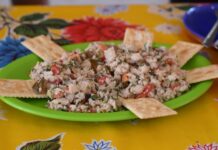 Visitantes destacan playas limpias en Veracruz y piden no dejarse llevar por versiones erróneas