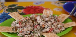 Visitantes destacan playas limpias en Veracruz y piden no dejarse llevar por versiones erróneas