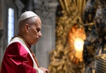 Los Papas y las guerras en la época contemporánea