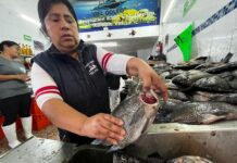 Ventas de pescado repuntan pese a derrame; comerciantes garantizan calidad.