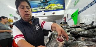 Ventas de pescado repuntan pese a derrame; comerciantes garantizan calidad.