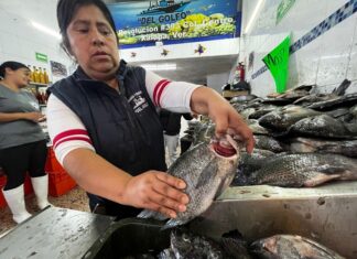 Ventas de pescado repuntan pese a derrame; comerciantes garantizan calidad.