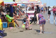 “Está muy limpia, muy bonito y con ambiente familiar”: turistas invitan a visitar playas de Tecolutla