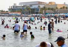 Veracruz desmiente con cifras la campaña negra de la oposición .