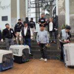 Capturan perros tras muerte de fauna en el Panteón Antiguo de Xalapa.