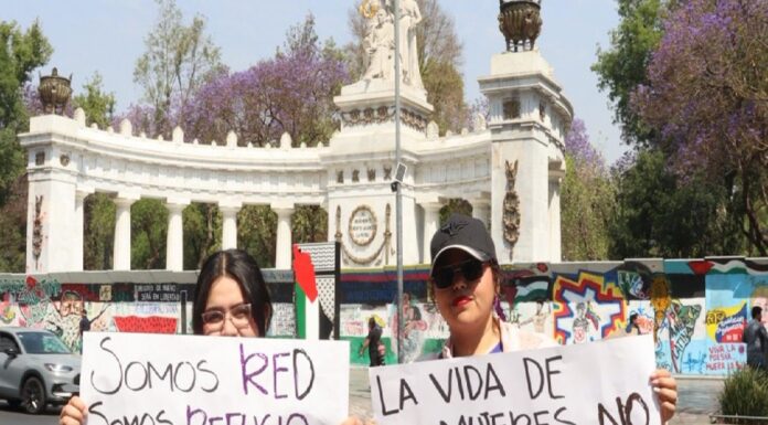 RNR denuncia que financiamiento de refugios para mujeres recae en organizaciones.