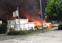 Captura de “Metro 9” desata narcobloqueos y expone poder territorial de “Los Metros” en Tamaulipas