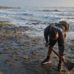 SEMAR aclara contenido de bolsas detectadas en playas del sur de Veracruz