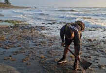 SEMAR aclara contenido de bolsas detectadas en playas del sur de Veracruz