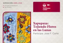 Exposición Xapupaxa: Tejiendo flores en las lunas llega al Museo Teodoro Cano.