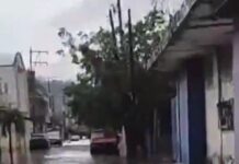 Pemex atiende presencia de trazas de aceite en Poza Rica y Coatzintla.