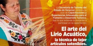 Ofrece SECTUR capacitación en tejido con lirio acuático