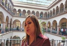 Mueren ocho perros por envenenamiento en Xalapa; autoridades refuerzan vigilancia y campañas.