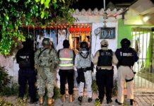 Operativo rescata a 42 perros en condiciones de maltrato en Coatzacoalcos