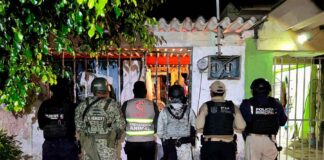 Operativo rescata a 42 perros en condiciones de maltrato en Coatzacoalcos