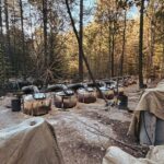 Gobierno federal confirma que agentes de la CIA no tenían permiso de operar en México