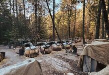 Gobierno federal confirma que agentes de la CIA no tenían permiso de operar en México