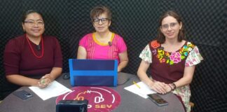 Amplía AVELI alcance de contenidos en lenguas indígenas en radio y redes sociales