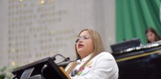 Mayor protección legal a mujeres víctimas de violencia, promueve diputada