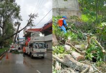 Atiende Ayuntamiento de Xalapa reportes de afectaciones por lluvias