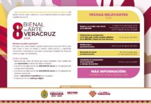 Emite SECVER convocatoria para participar en la Bienal de Arte Veracruz 2026