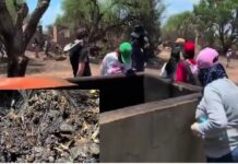 Madres buscadoras hallan presunto crematorio clandestino y centro de adiestramiento en Lagos de Moreno