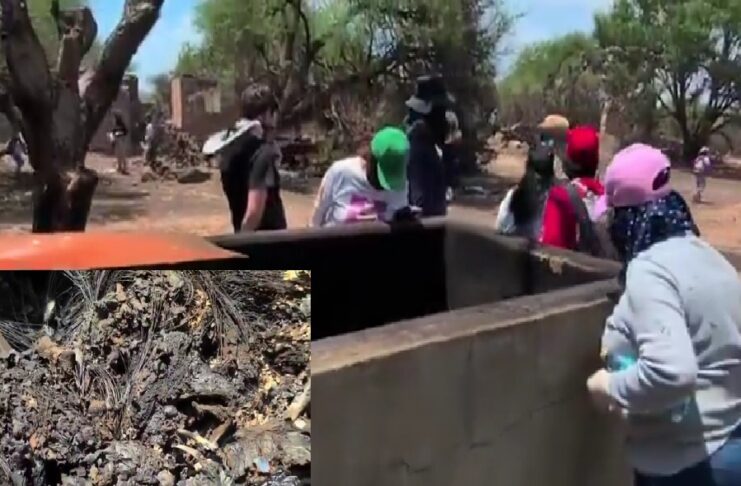 Madres buscadoras hallan presunto crematorio clandestino y centro de adiestramiento en Lagos de Moreno