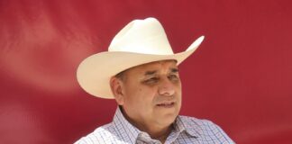 Refuerzan vigilancia y campañas contra gusano barrenador en Veracruz.