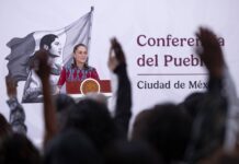 Presidenta Sheinbaum inicia reestructura de créditos para 60 mil productoras y productores agropecuarios