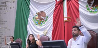 Aprueba Congreso Veracruz reforma que facilita a las mujeres el acceso a la lactancia