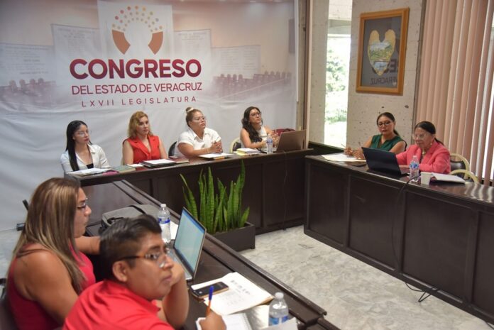 Congreso de Veracruz CEIGDH IVM