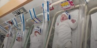 Pareja ultraortodoxa tiene cuatrillizos por segunda vez en 4 años.