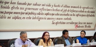 La cirugía financiera de Daniela Griego.