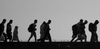Más de 15 mil personas desplazadas en México durante 2025 en 11 estados: PDH IBERO