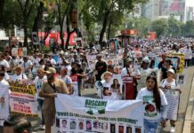 Familias buscadoras exigen se acepte la ayuda internacional ante crisis de desapariciones.