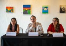 Abierto el registro para la integración del Padrón Municipal de la Dirección de Cultura de Xalapa